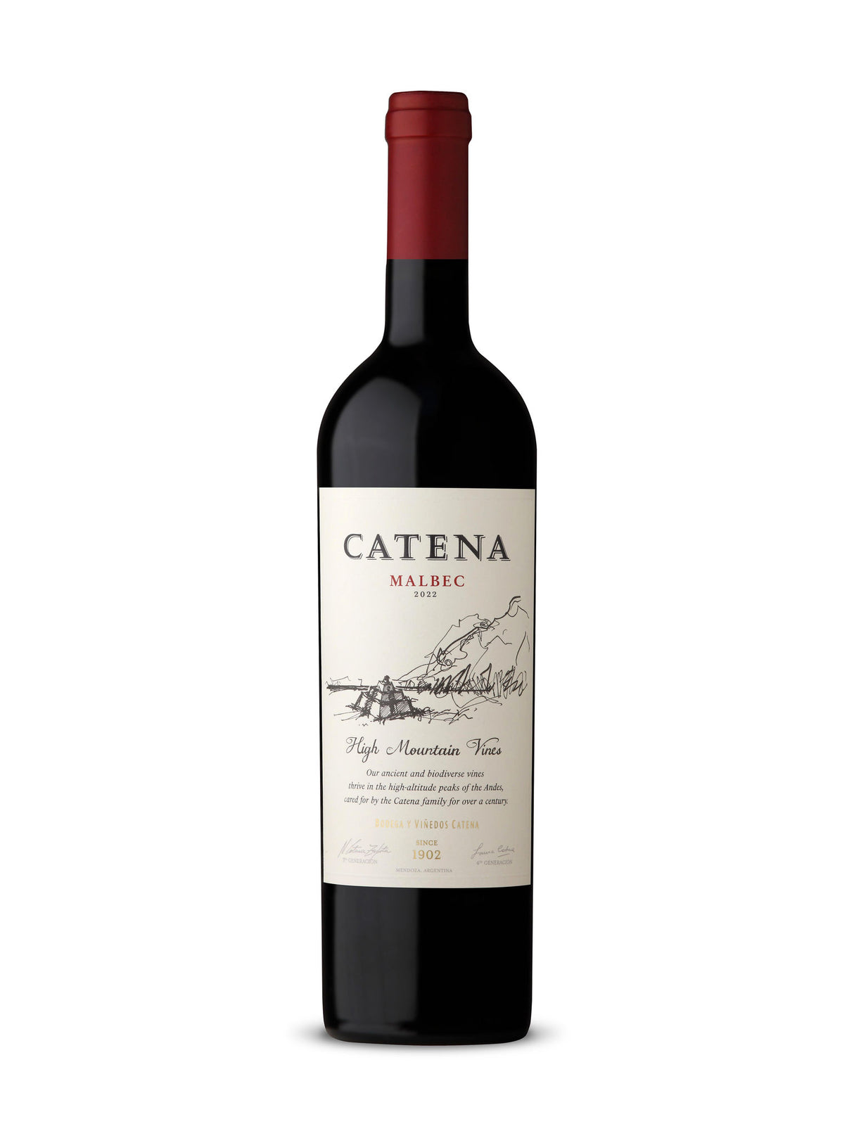 Catena Cabernet Sauvignon